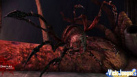 Imagen/captura de Dragon Age Origins: El Despertar para PC